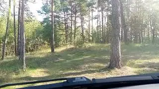О, ценах на лом черных металлов.