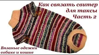 14. How to Knit a Dachshund Sweater. Part 2