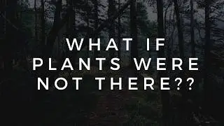What if plants Were not there?
