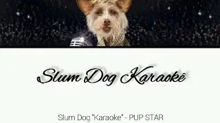 Slum Dog "Karaoke" - PUP STAR