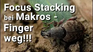 Makrofotografie und Focus Stacking - Finger weg!!! Oder vielleicht doch nicht?