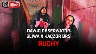 Dawid Obserwator x Śliwa x Kaczor BRS - Ruchy