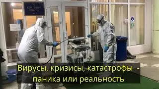 Вирусы, кризисы, катастрофы  - паника или реальность? Александра Лакшми