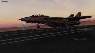 All in a days work  [DCS F-14]