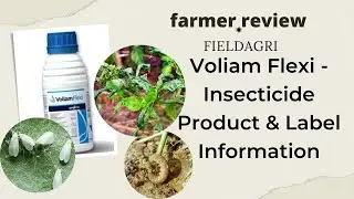 sugarcane  best insecticide | sugarcane top borer shoot borer | syngenta Voliam Flexi in hindi