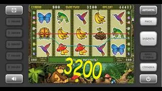 Игровой автомат crazy monkey 2, сумасшедшая обезьяна 2 а что внутри! Слоты igrosoft!