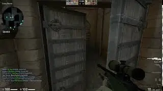 sfsfsf