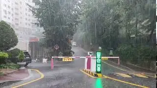 Heavy Rain /폭우