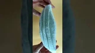 Кокошник из шерсти мериноса в технике мокрого валяния