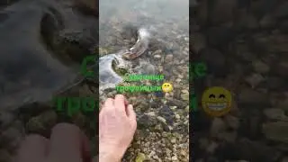 рыбалка на отводной поводок