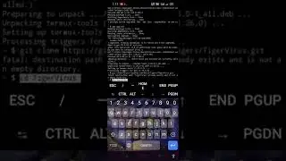TERMUX API