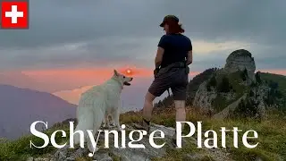 Schynige Platte Jungfrauregion Switzerland