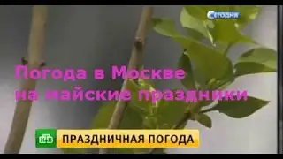 Погода в Москве на майские праздники