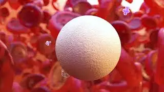 BD BACTEC™ Full-spectrum Blood Culture Solution