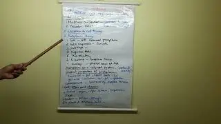 GRADE 11 | BOTANY | CH 6 CELL THEORY | 21 01 2022 | 8 00 AM