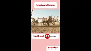 Robot camel jockeys