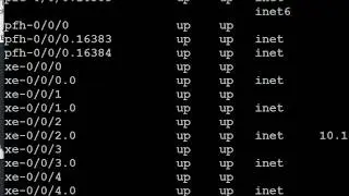 Taner  have fun with Juniper QFX and Cisco switching under EVE-NG VLAB!