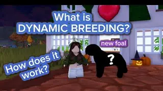 What is DYNAMIC BREEDING in horse valley 🐎🌿