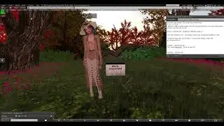 Firestorm and Second Life Viewer PBR Quick Settings FIX