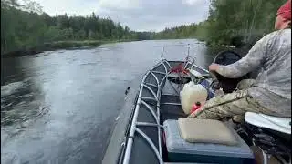 Сухая Водла! 70 км. в час по таёжной реке Yamaha 115 Водомёт!!!!