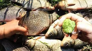 Без этой насадки на рыбалку не хожу, для поплавка и ловли карася, карпа, сазана.