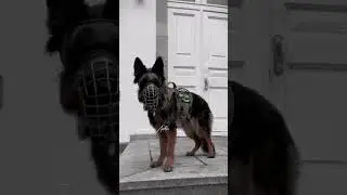 Эдит Но💗
