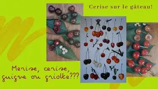 MERISES, CERISES, GUIGNES OU GRIOTTES ???