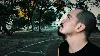 Steady afternoon | Short film x DJI Osmo Pocket 3