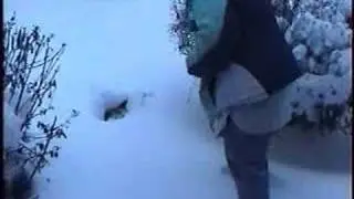 Khan REALLY Doesn't Like Snow!