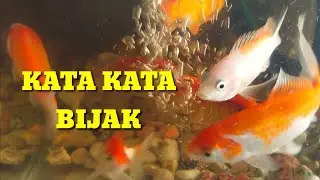 KATA KATA BIJAK MENGGUGAH SEMANGAT HIDUP JIWA