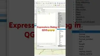 What is the Programming language in Expression Dialog in QGIS?? 