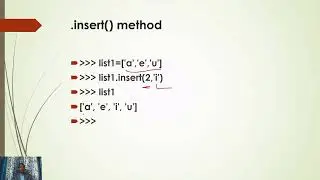 Insert function in list.