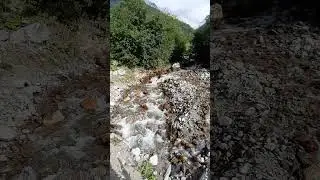 Шум горной реки.