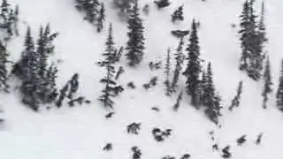crash