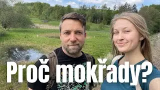Mokřady v krajině a jejich důležitost #mokřady #voda #priroda