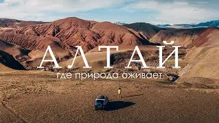 Altai Blooms | All Seasons in a Week | Road Trip