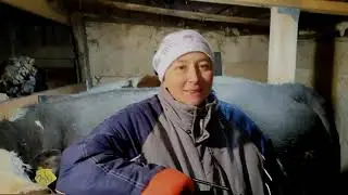 С новым годом 2023