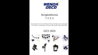 china's best 2023-2024 wendadeco Catalogue  Festoon lights manufacturer