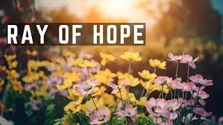 Music to Reduce Your Pain & Anxiety | Healing Music