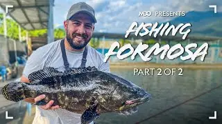 Fishing Formosa (Taiwan, pt.2) - Travel to Alishan, Taipei + Fish Market! [有中文字幕]
