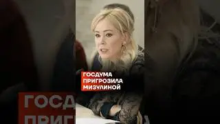 Госдума пригрозила Мизулиной