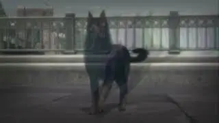 I Am The Lightning MEP Part 9