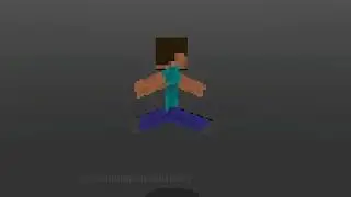 Steve Voxcel style test