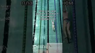 Спасибо сибайку! 