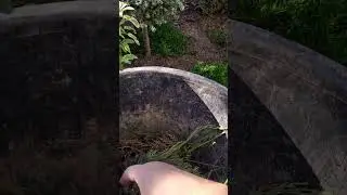 С утра в бой против сорняков!