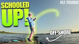 Offshore Bass are SCHOOLED UP! (Chowan River)