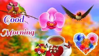 good morning status 💙 good morning video 📹 good morning status whatsapp 😊 good 👍