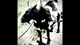 fuck it ft.D00zY - yook
