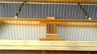 Finally made some cages for myself.