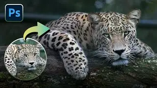 How to Edit Wildlife Photos Like a Pro!
